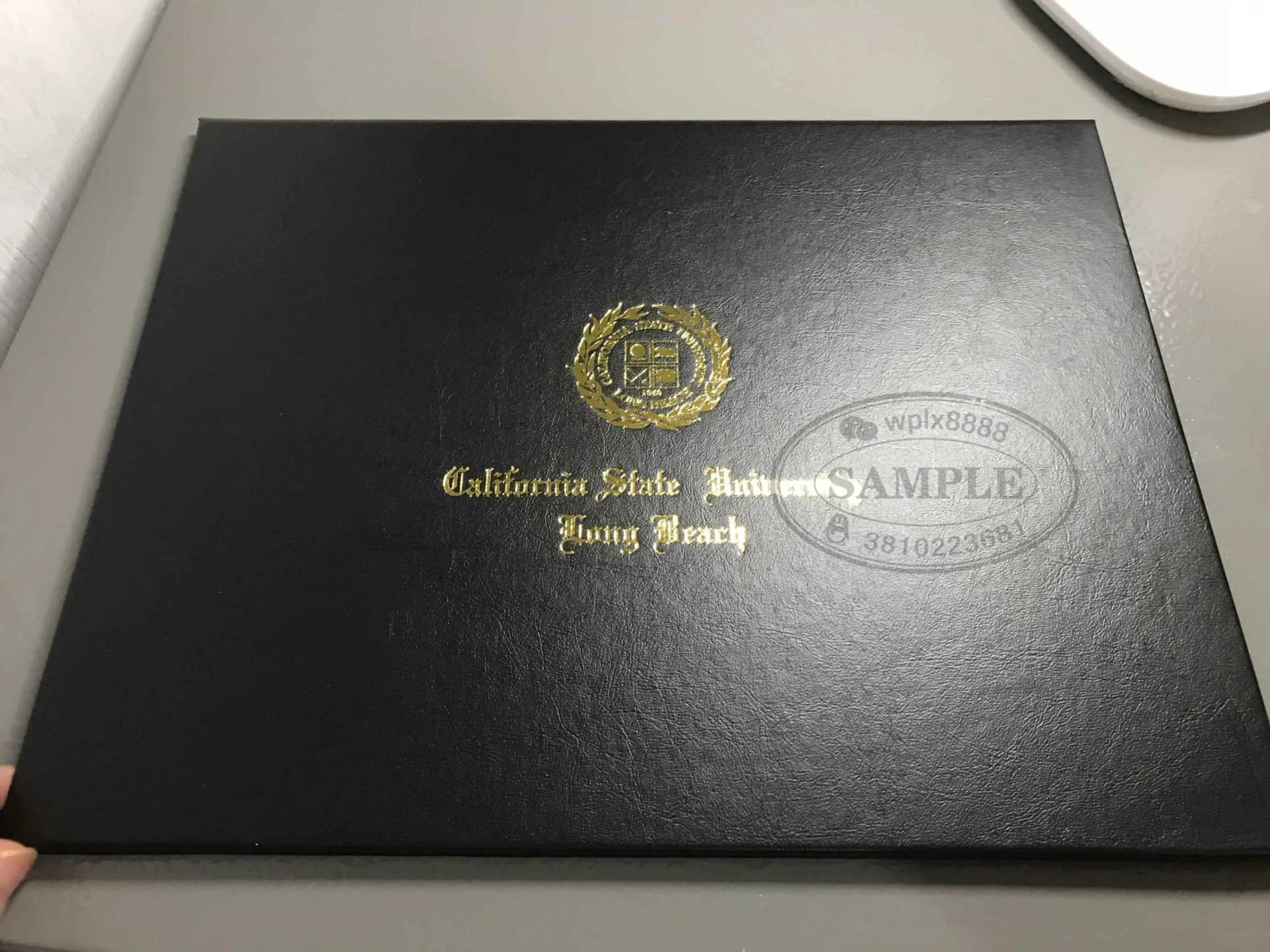 加州州立大学长滩分校毕业证封皮与学位证外壳参考