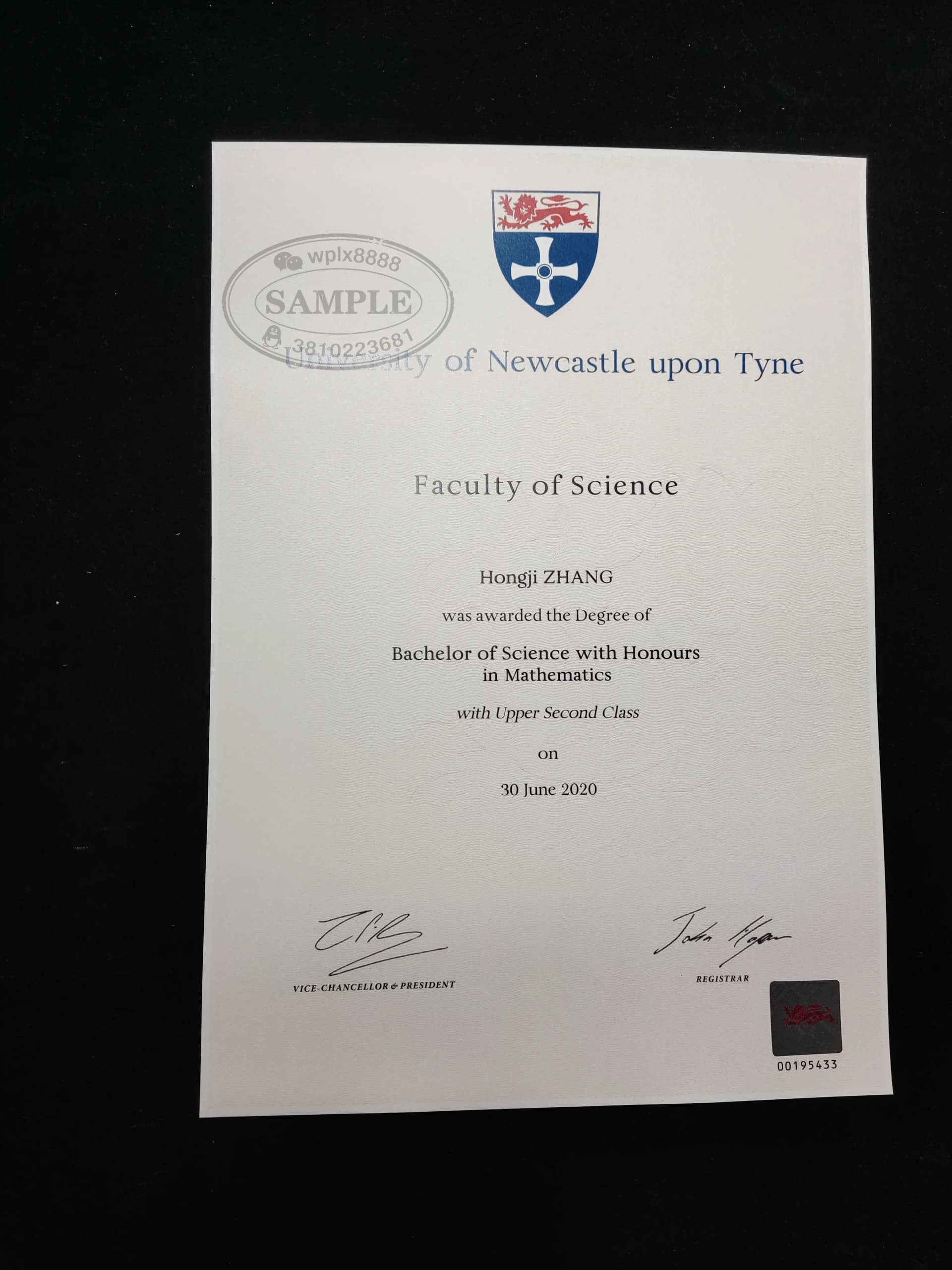 英国纽卡斯尔大学数学系理学学士学位证书样本
