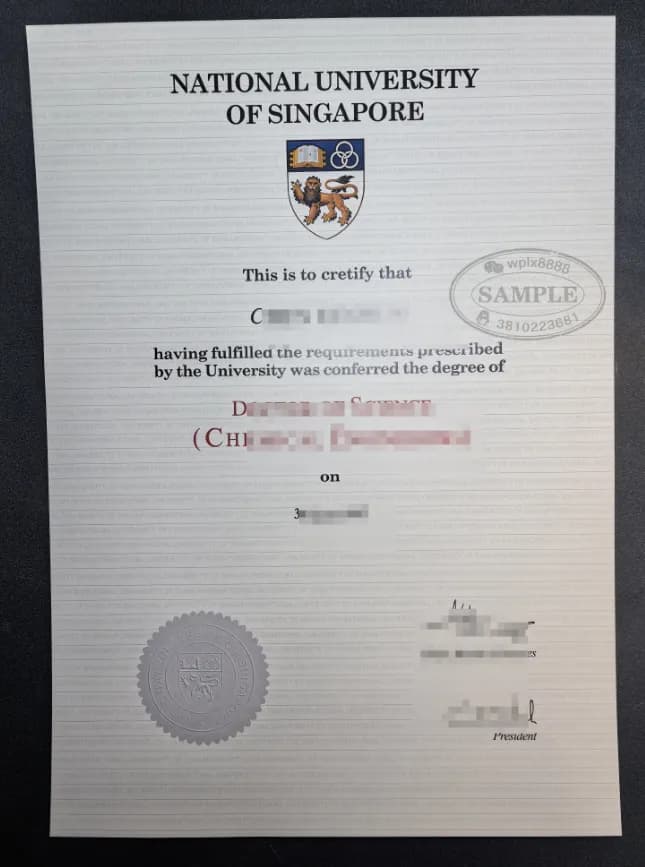 新加坡国立大学理学博士学位证书案例