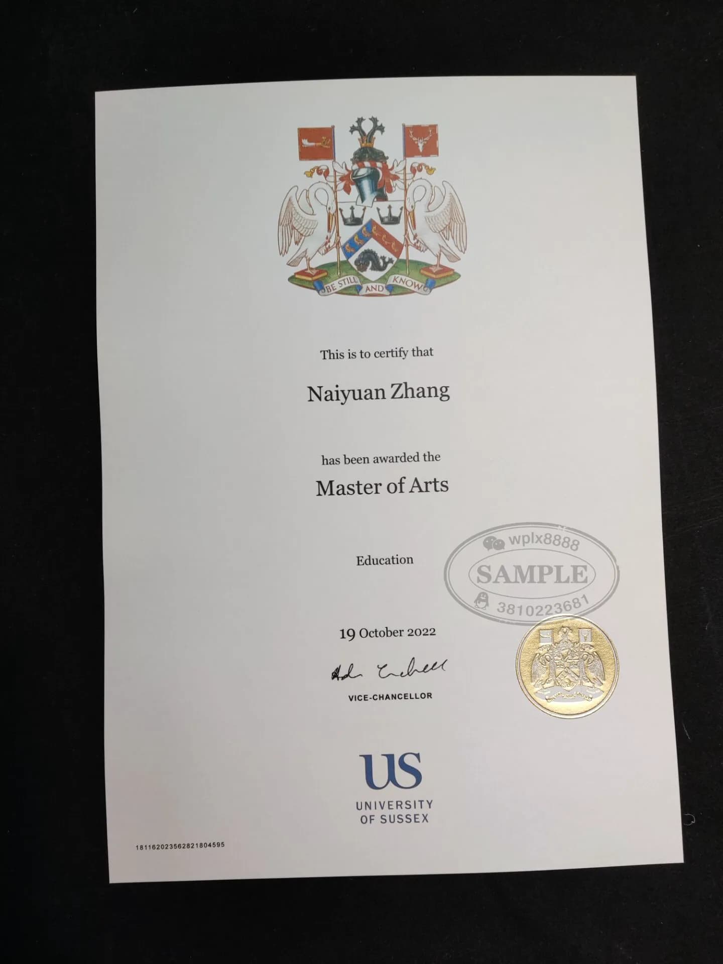 英国萨塞克斯大学教育学硕士学位证书样本