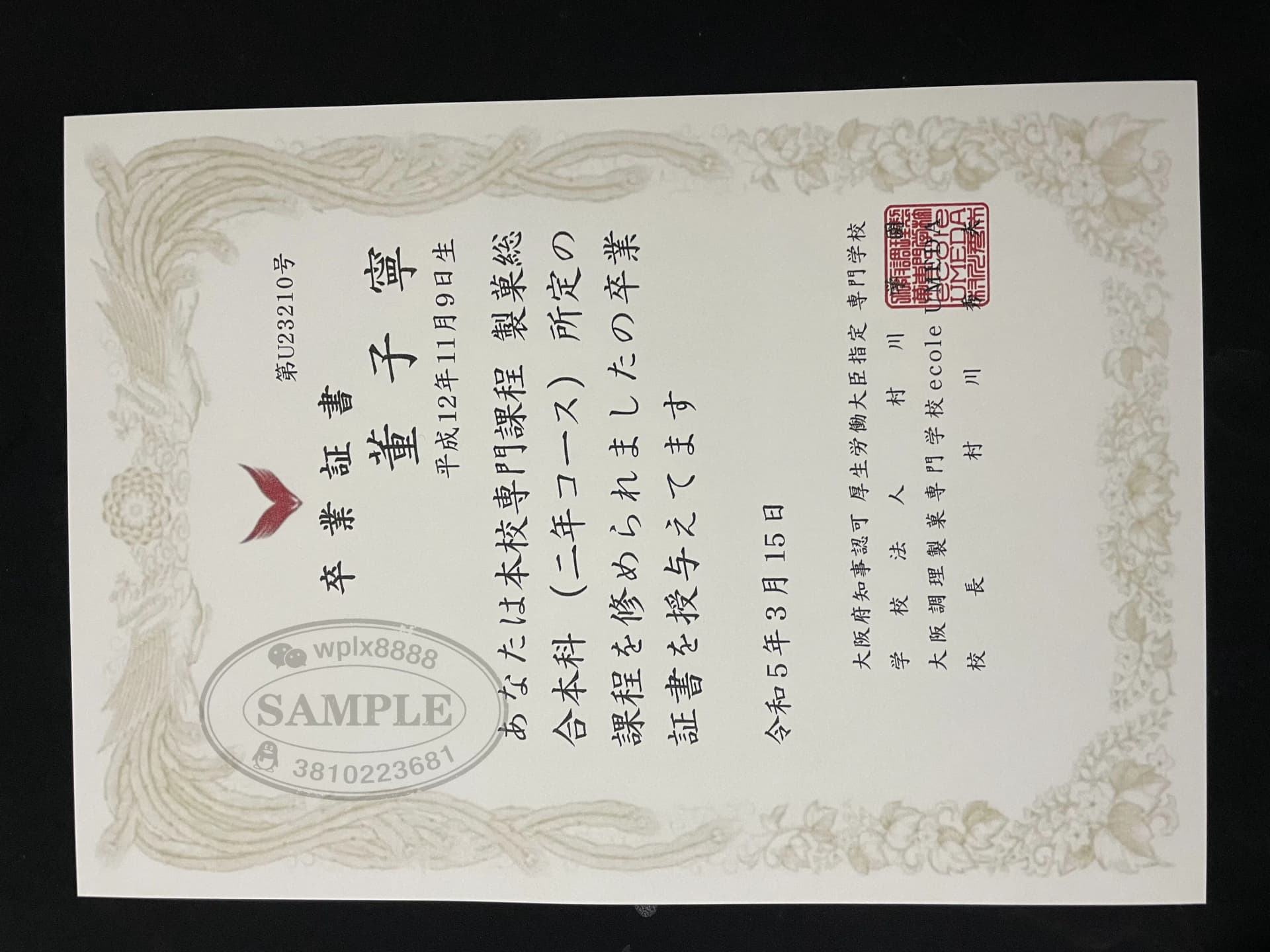 日本专门学校毕业证样本及专门士学位认证解析 日本专门学校毕业证样本及专门士学位认证解析
